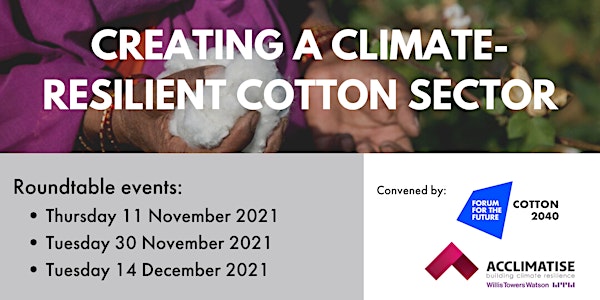 Creating a climate-resilient cotton sector| Roundtable events