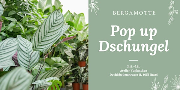 Bergamotte Pop Up Dschungel // Basel