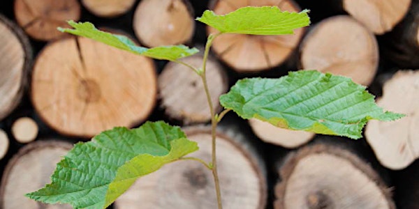 2016 IrBEA National Bioenergy Conference Unleashing Ireland’s Bioenergy Potential