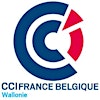 Logotipo da organização CCI FRANCE BELGIQUE - Wallonie