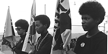 The Black Panthers:  Vanguard of the Revolution primary image