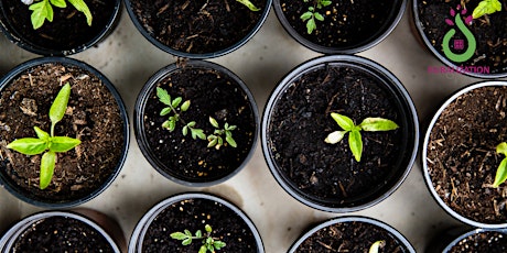 Immagine principale di Exploring the potential of community owned farms in England 