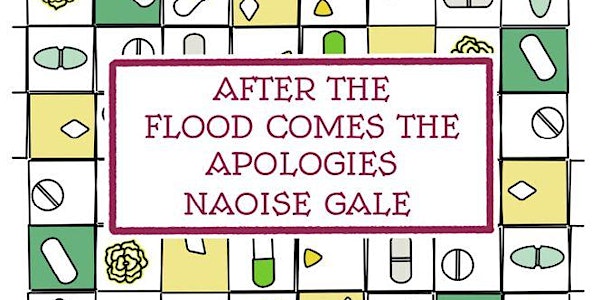 Launch of 'After the Flood Comes the Apologies' by Naoise Gale - Nine Pens