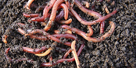 Compost & Worm Farming primary image