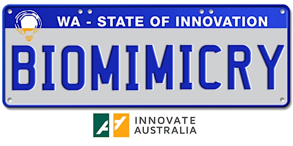 BIOMIMICRY INNOVATION NETWORK