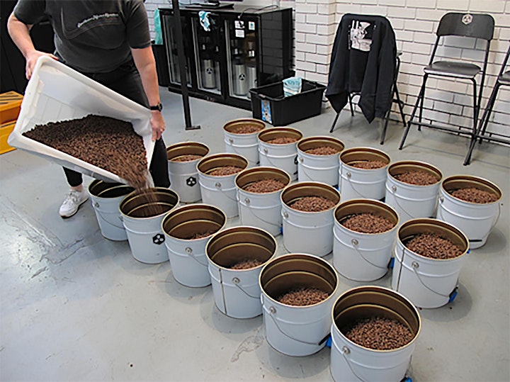 1-Day Intensive Production Roasting Practice image