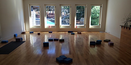 Crack Yourself Open - Mini Yoga Retreat, 2016 primary image