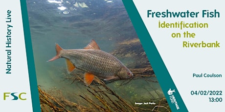 Freshwater Fish Identification on the Riverbank entradas