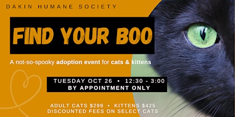 Find Your Boo:  Adoption Event for Cats & Kittens primary image