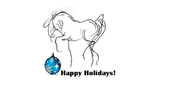 Saffyre Sanctuary Holiday Party & Open Barn