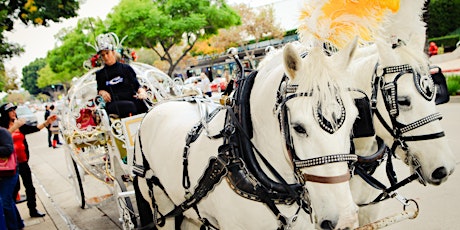 South Lake Avenue Horse & Carriage Ride Raffle - 12/19 primary image