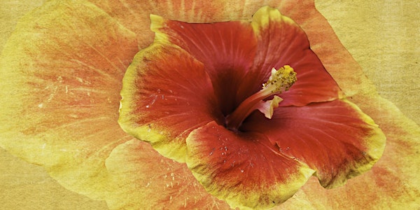 Artist Registration - Floral Fusion 2016