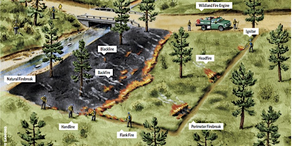 Learn to Burn: Introduction to Prescribed Fire for Landowners -Hatfield