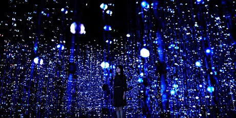 teamLab: Living Digital Space and Future Parks primary image