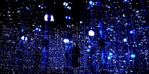 teamLab: Living Digital Space and Future Parks
