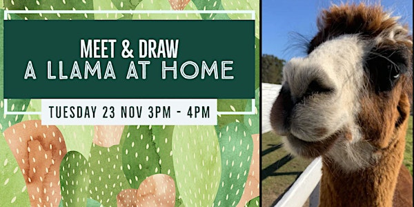 Stress Less Fest: Meet and Draw a Llama at Home