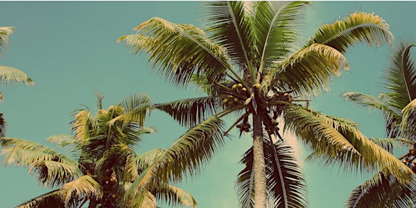 The Wellness Festival - Presented by Colour and Coconuts