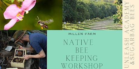 Native Bee Keeping Workshop- Full Day , Bookings Essential primary image