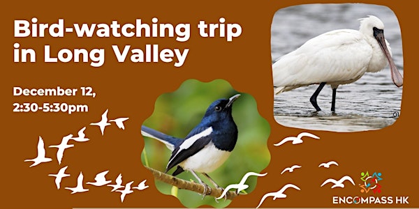 Bird-watching trip in Long Valley