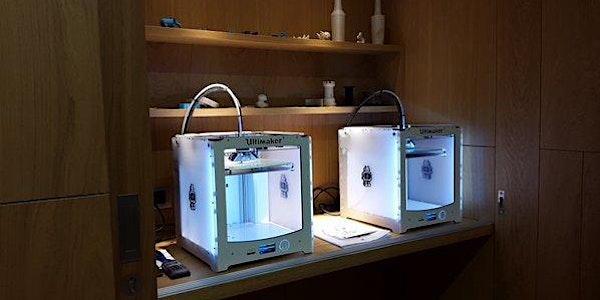 Introduction to 3D Printing; for Adults.