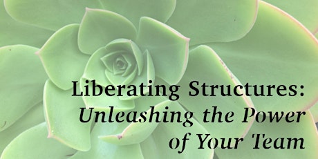 Liberating Structures: Unleashing the Power of Your Team primary image