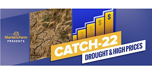 Catch-22: Drought and High Prices