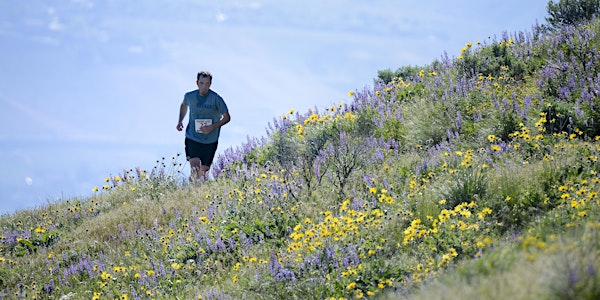 Horse Lake Half-Marathon, 12K and 5-Mile Trail Runs