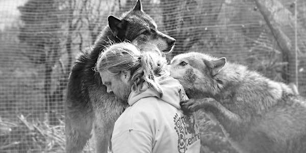 Il Lupo e il Cane