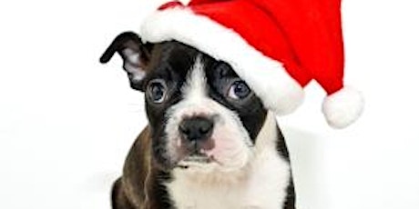 Pet Photos with Santa every Tuesday at Westgate Mall: NOW – December 22 primary image