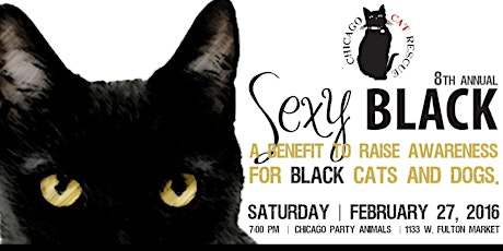 Sexy Black - a benefit to raise awareness for black cats and dogs. primary image