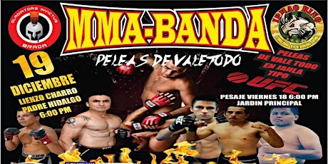 Imagen principal de MMA-BANDA Peleas vale todo en jaula - Tipo UFC