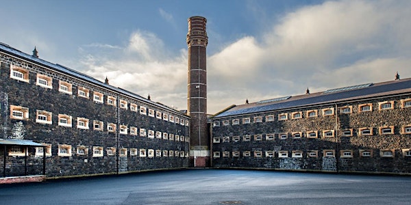 Institutions and Ireland: Medicine, Health, and Welfare