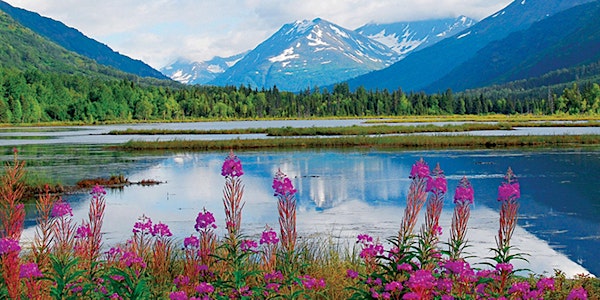 Our Biggest Environmental Problem is Disconnection from our Inner Nature