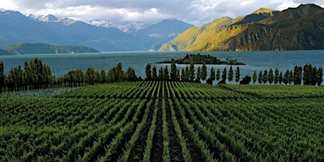 Five Senses New Zealand Wine Experience primary image