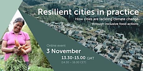 Primaire afbeelding van Resilient cities in practice