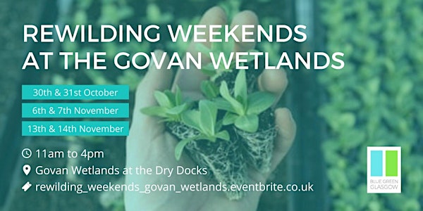 Rewilding Weekends at the Govan Wetlands