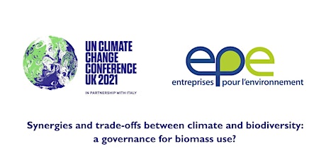 Synergies and trade-offs climate/biodiversity: a governance for biomass use