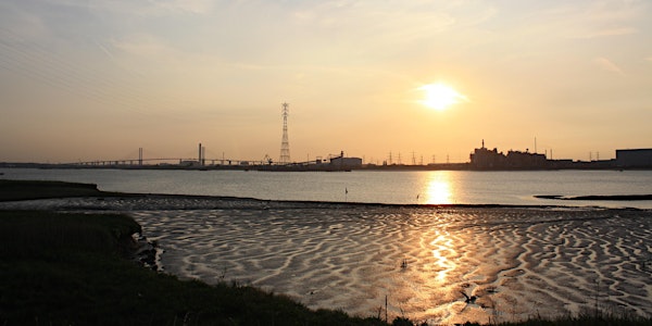 Walking Tour - To The Lighthouse - A Walk Around The Swanscombe Peninsula