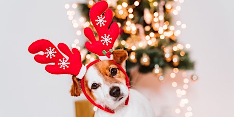 Pet Photos with Santa 2023 primary image