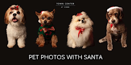 Pet Photo Night with Santa (1 of 3) -SOLD OUT primary image