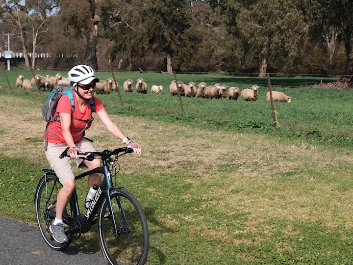
		Central West Trail Supported Cycle Tour November 2022 image
