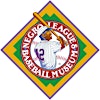 Logótipo de Negro Leagues Baseball Museum, Inc.