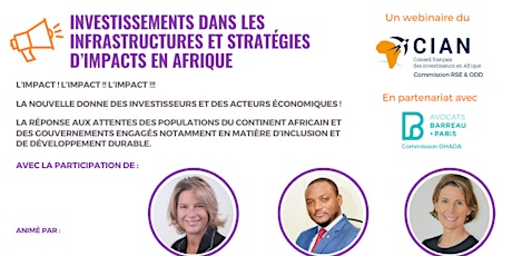 Investissements & Stratégies d'Impact en Afrique