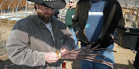Apple Tree Grafting Class and Hands-on Workshop April 6th : 9 a.m. to Noon primary image