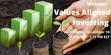 Imagen principal de Values Aligned Investing
