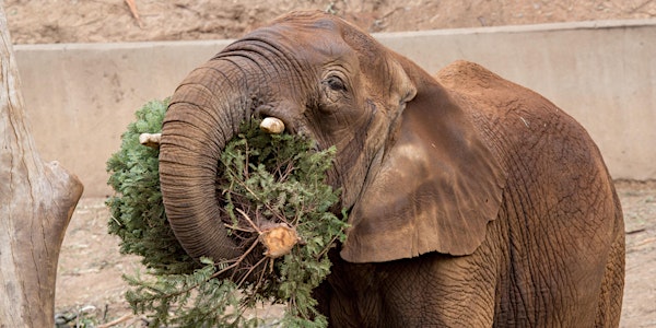 Oakland Zoo Individual Membership