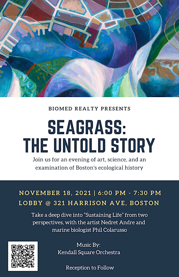 Seagrass: The Untold Story image