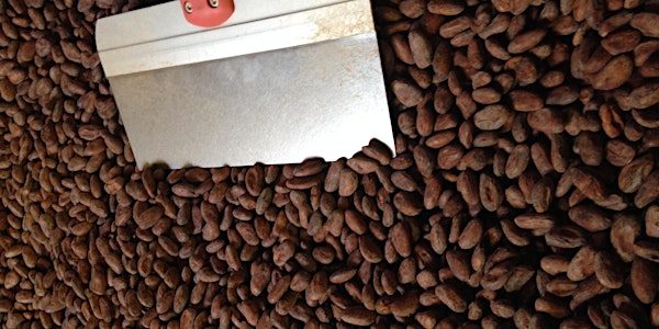 Meet Your Makers: Maya Mountain Cacao