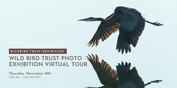 Wild Bird Trust Photo Exhibition Virtual Tour