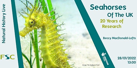 Seahorses Of The UK: 20 Years of Research entradas